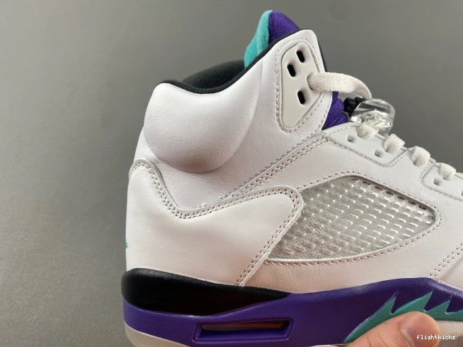 (2013) Jordan Retro 136027-108 Air Grape 5 0916